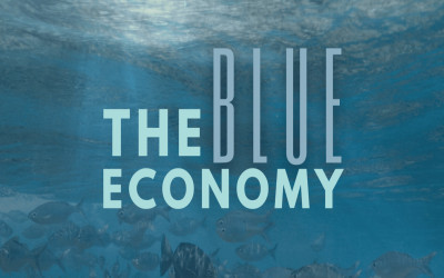 Optimizing the D-8 Blue Economy under Indonesia’s Chairmanship 2026–2027