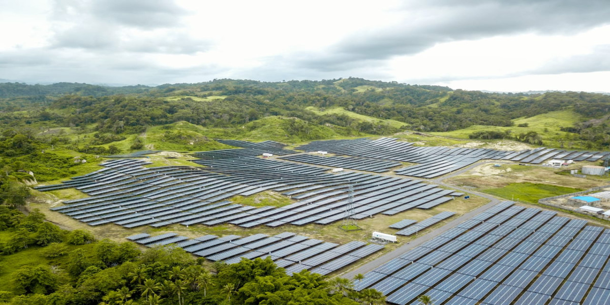 Memperkuat Sinergi Ekonomi dan Akselerasi Transisi Energi: Visi Strategis D-8 Menuju 2030